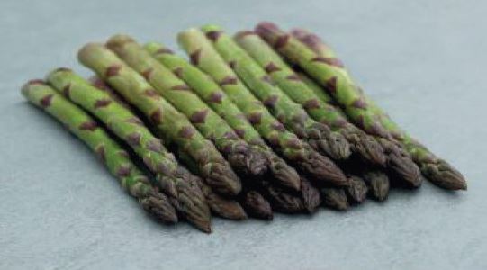 Verdus Variété d'asperge créneau Mi-précoce