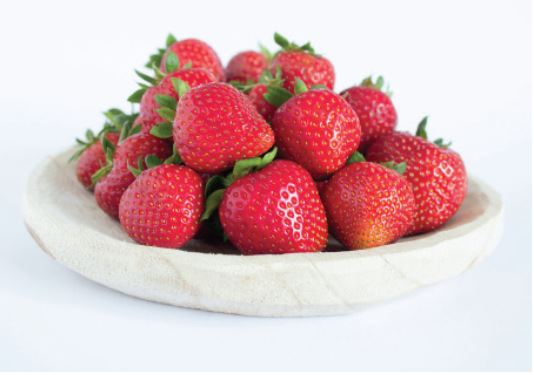 Dahli Variété de fraise créneau très précoce