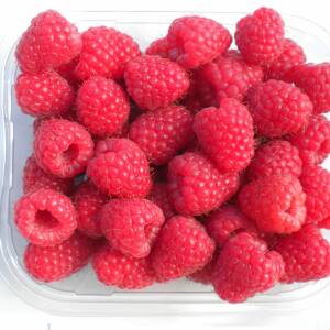 Korpiko Variété de framboise Précoce