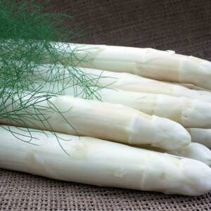 Raffaelo Variété d'asperge créneau tardive