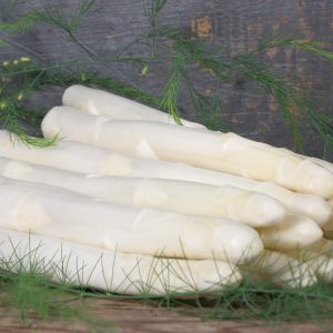 Vitalim variété d'asperge précoce