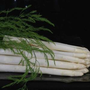 Gijnlim Variété d'asperge créneau Mi-précoce