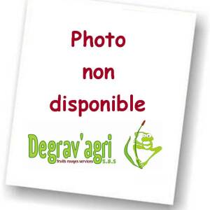 Photo non disponible