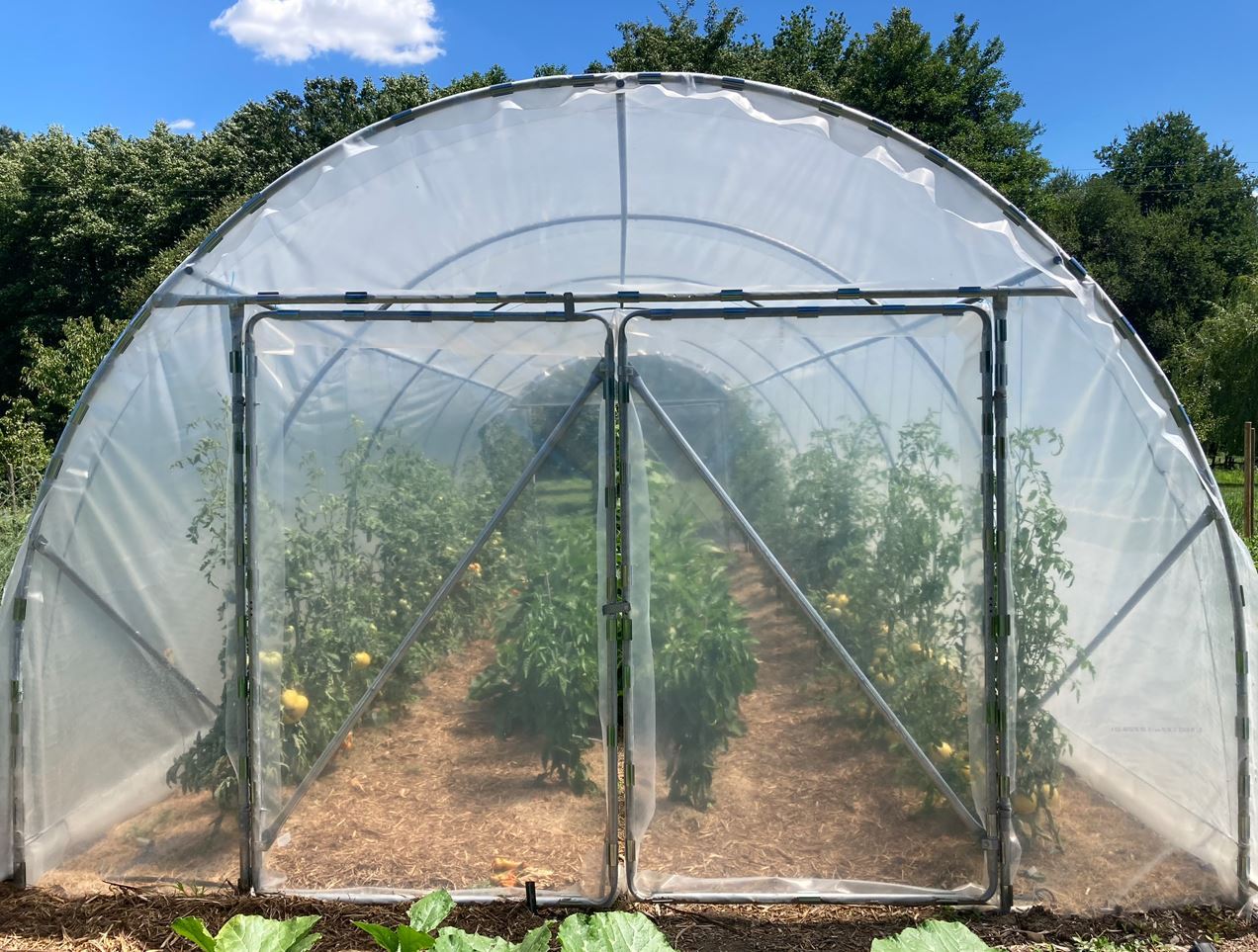 Abris de jardin 4m à pieds droits