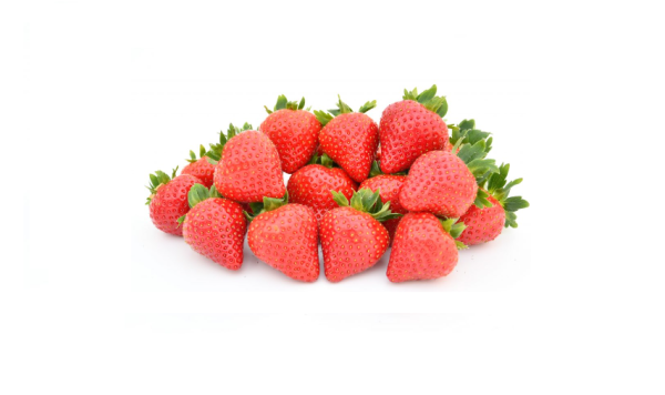Florice variété de fraise remontante