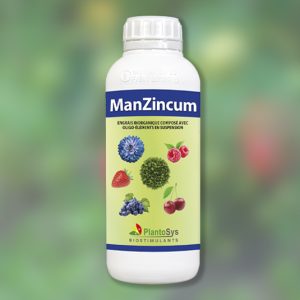 Manzincum biostimulant plantosys