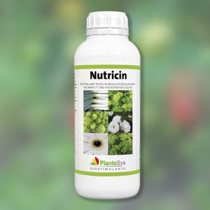 Nutricin biostimulant plantosys
