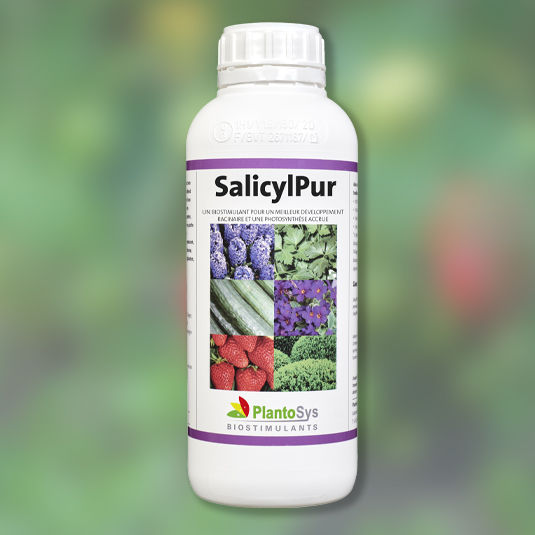 Salicylpur biostimulant plantosys