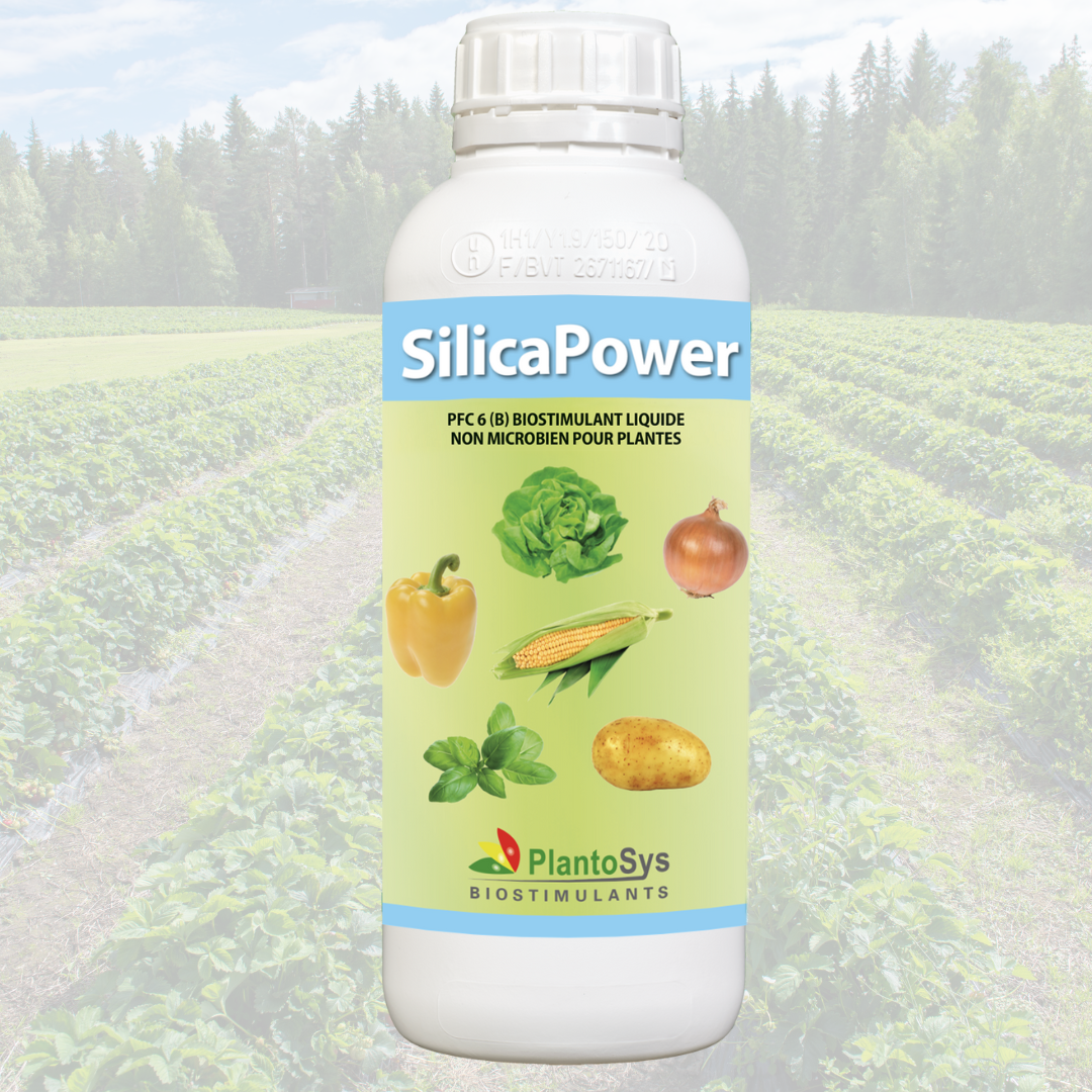 SilicaPower