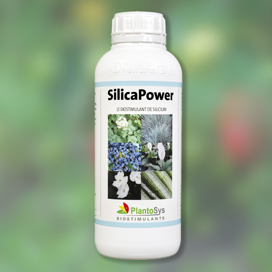 silicapower biostimulant plantosys