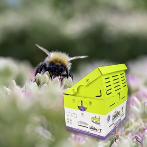 Ruche Premium Hive Biobest