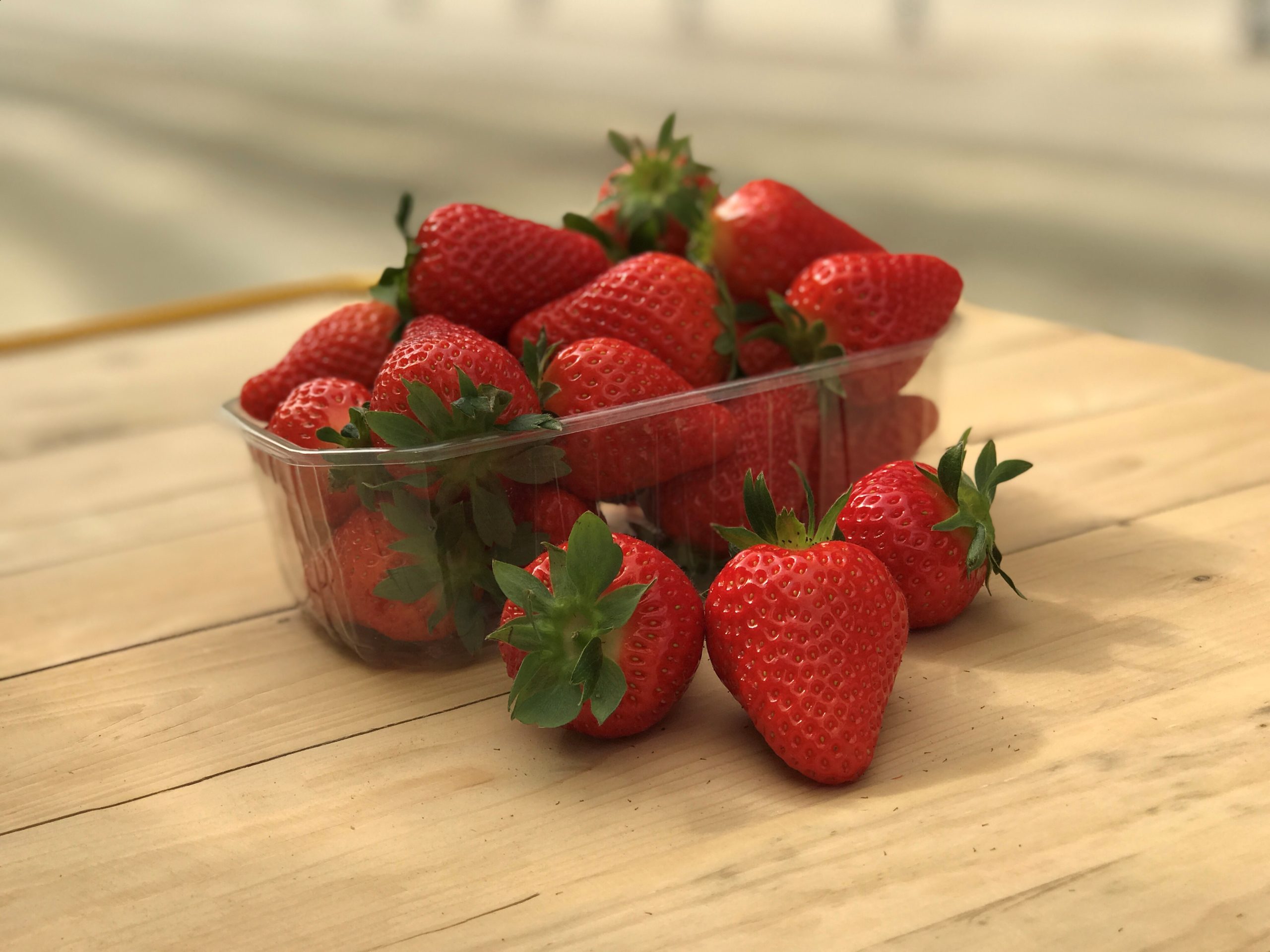 fruit du fraisier Marly – bon calibre et brillance